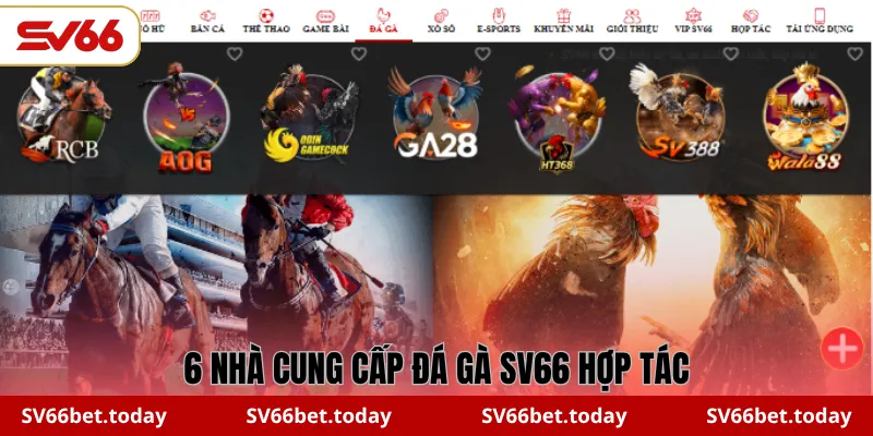 6 nhà cung cấp đá gà SV66 hợp tác