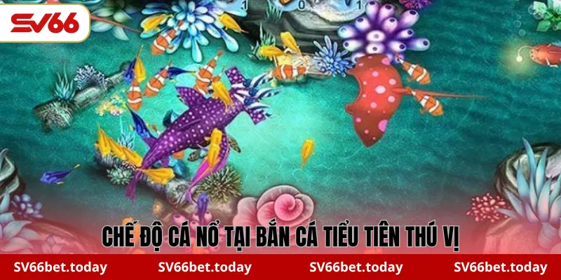 Chế độ cá nổ tại Bắn cá Tiểu Tiên thú vị