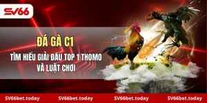 đá gà C1
