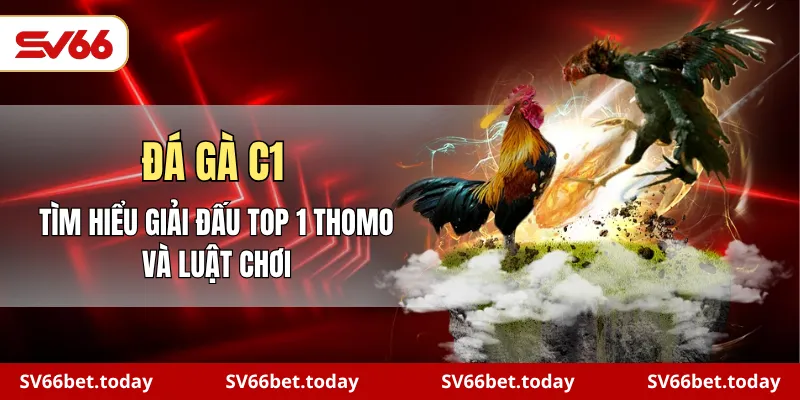đá gà C1