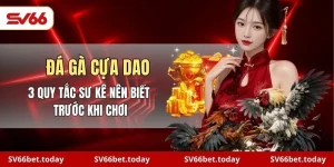 đá gà cựa dao
