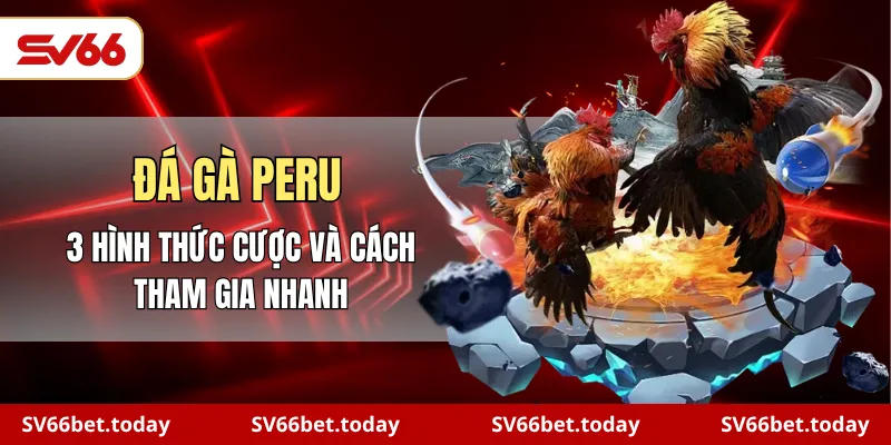 đá gà Peru