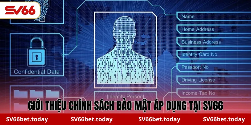 Giới thiệu chính sách bảo mật áp dụng tại SV66