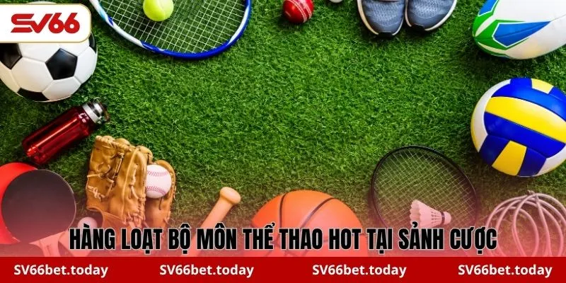 Hàng loạt bộ môn thể thao hot tại sảnh cược