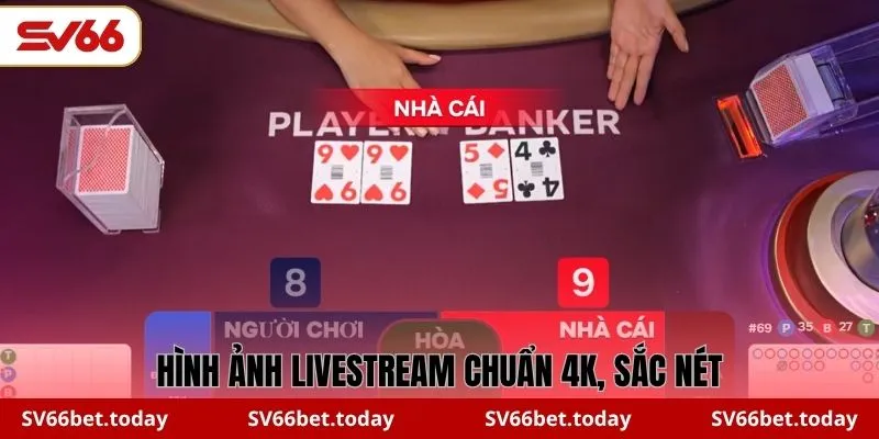 Hình ảnh livestream chuẩn 4K, sắc nét