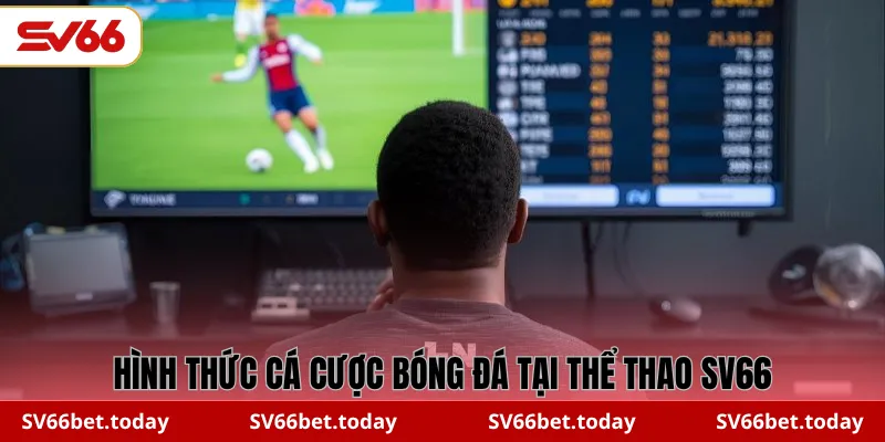 Hình thức cá cược bóng đá tại Thể thao SV66