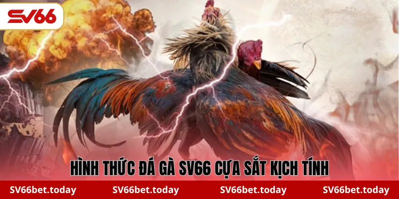 Hình thức đá gà SV66 cựa sắt kịch tính