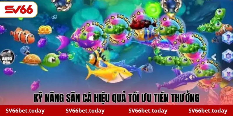 Kỹ năng săn cá hiệu quả tối ưu tiền thưởng