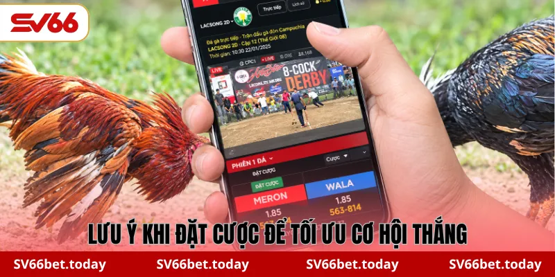 Lưu ý khi đặt cược C1 để tối ưu cơ hội thắng